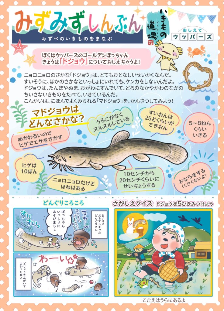みずみず新聞3_ドジョウ