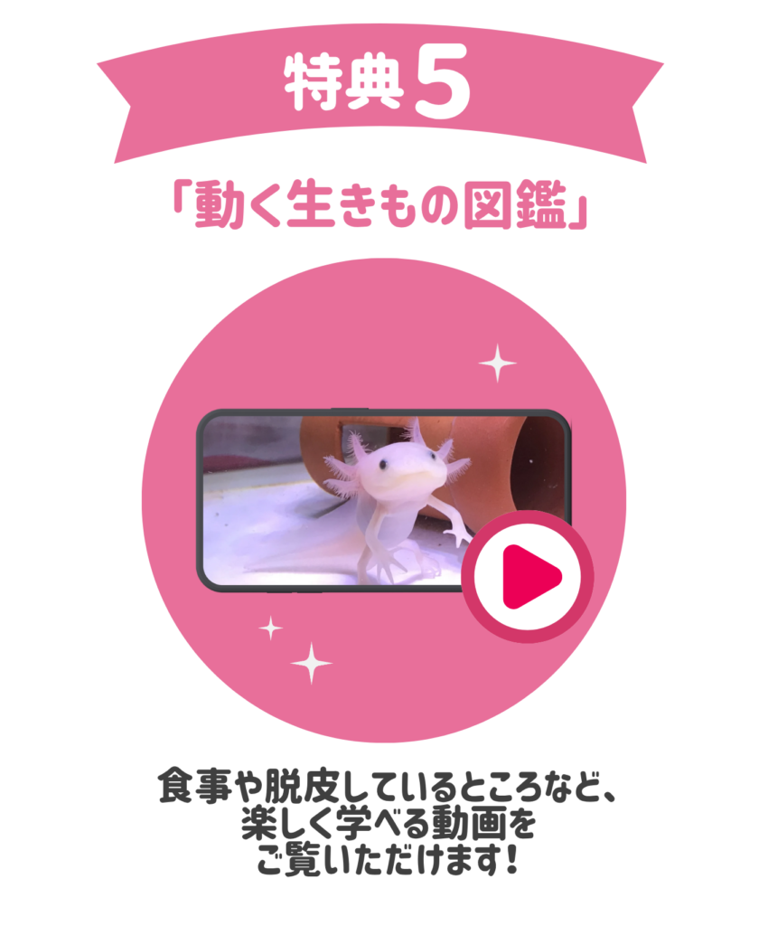 特典5