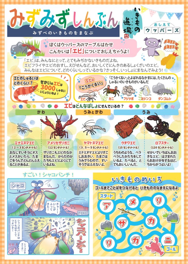 みずみず新聞8_エビ