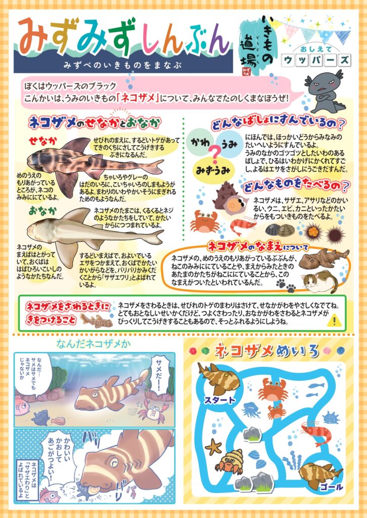 みずみず新聞11_ネコザメ
