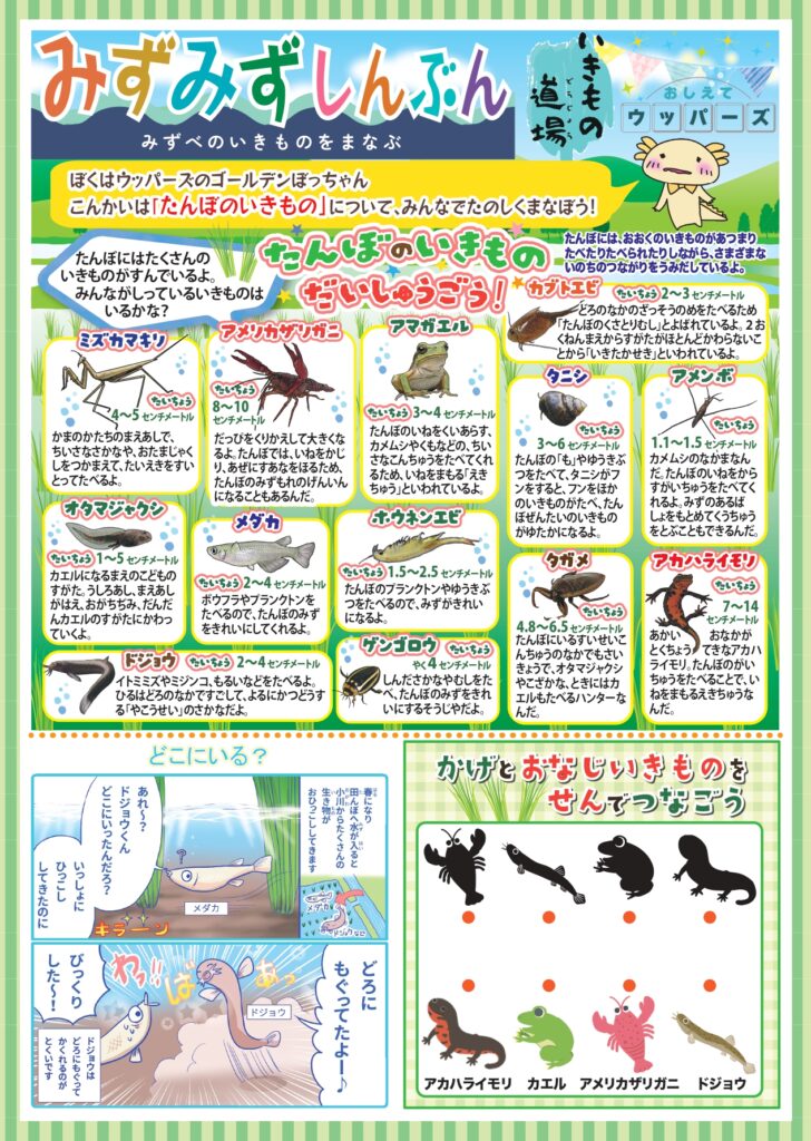 みずみず新聞14_田んぼの生きもの