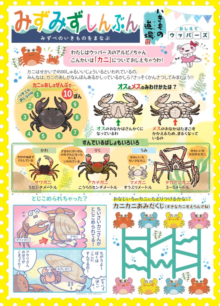 みずみず新聞6_カニ
