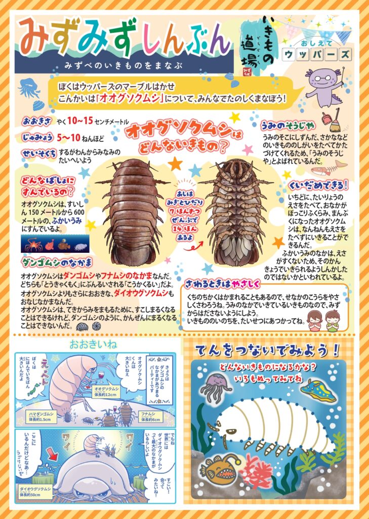みずみず新聞13_オオグソクムシ