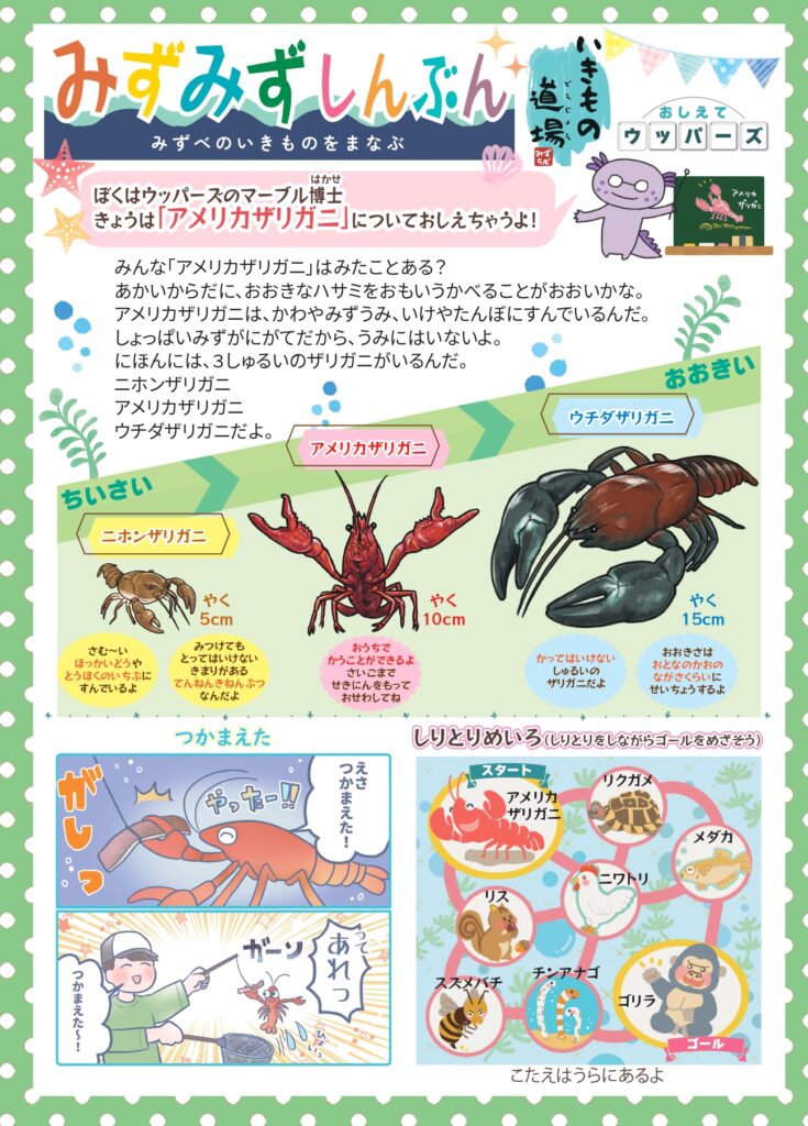 みずみず新聞2_ザリガニ