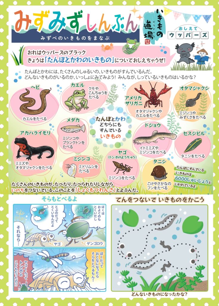 みずみず新聞5_田んぼと川の生きもの